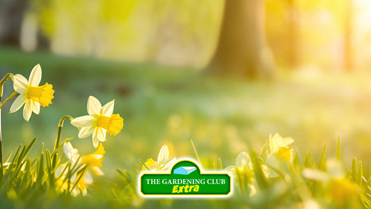 March Jobs in the Garden