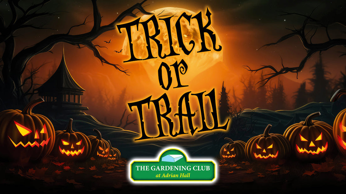 Join us for a Spooky Halloween Adventure at The Gardening Club at Adrian Hall